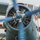 В Подмосковье разбился Ан-2 – экипаж погиб 