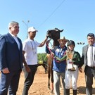На скачках в Челнах на приз мэра победила наездница из Менделеевского района