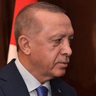 В Совфеде заявили о превращении Турции из нейтральной страны в недружественную