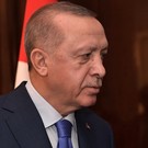 Источник: Эрдоган предложит Путину свое посредничество по Украине для прекращения огня