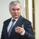 Володин: Бастрыкин фразой о «Государственной Дуре» оскорбил народ