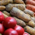 В Татарстане за неделю ускорился рост цен на продукты – дешевеет лишь борщовый набор