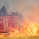 В челнинском СНТ «Кама» в результате крупного пожара сгорело 12 домов 