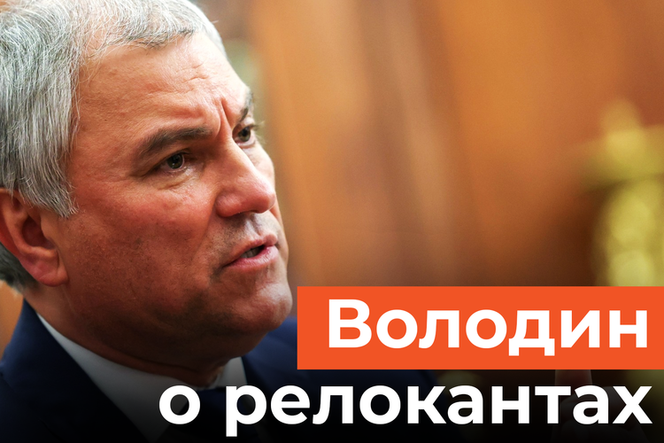 Релокантов лишат имущества в России? Володин поддержал законопроект Татарстана