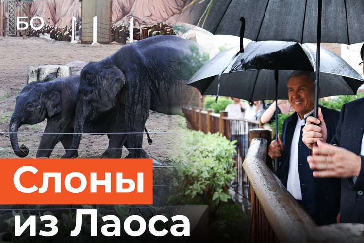 Премьер-министр Лаоса торжественно передал двух слоних Казанскому зооботсаду