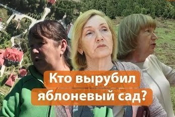 Кому понадобилось уничтожать яблоневый сад в Ключищах?