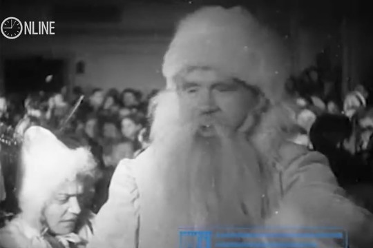 Первые новогодние елки в Казани