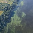 В гидрометцентре Татарстана сообщили результаты анализа проб воды в позеленевшей Волге