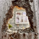 В Белгороде прогремело несколько взрывов