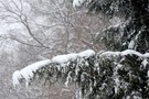 В Татарстане ожидаются метель и снежные заносы на дорогах