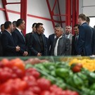 Минниханов посетил в Узбекистане теплицы, снабжающие Поволжье зеленью и овощами