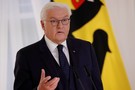 СМИ: Президент Германии ударил по голове писателя, обвинившего его в поддержке «Северного потока – 2»