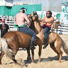 В Альметьевске впервые проходят соревнования по борьбе на лошадях: Минниханов – среди зрителей (фото и видео)