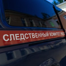 СКР возбудил дело в отношении блогера-миллионника Александры Митрошиной