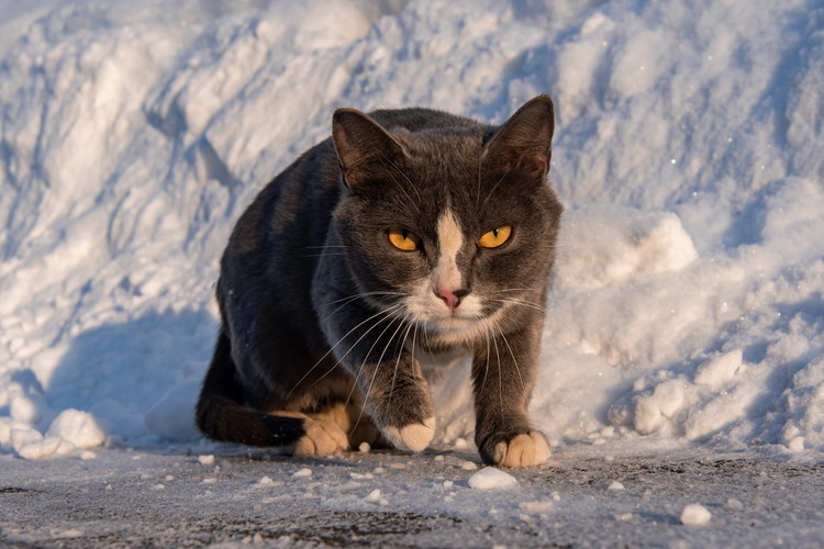 Мороз и солнце в Челнах
