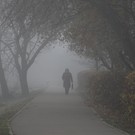 Метеорологи: такого сильного тумана в Москве не было последние 12 лет