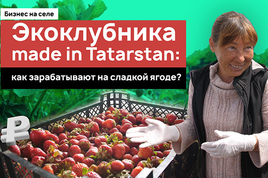 «Муж поменял Range Rover на трактор»: экоклубника made in Tatarstan