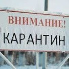 ​Минниханов ввел карантин по бешенству животных в Тукаевском районе