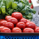Продукты в Татарстане подорожали за неделю почти на 12%: список