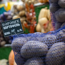 Торговым сетям предложили продавать картофель «экономкласса»