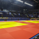 Российских болельщиков выгнали с чемпионата по дзюдо в Дохе из-за георгиевских лент