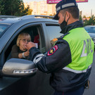 СМИ: В РТ могут провести эксперимент по замене водительских прав на QR-коды