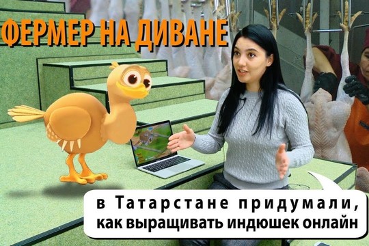 Индюшки-online: как скрестить IT-стартап и фермерское хозяйство