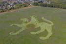 В поле под Казанью появился гигантский снежный барс из клевера