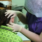 «Кровопийцы проснулись позже»: в Челнах выявлен первый случай укуса клеща