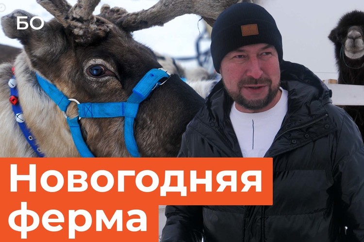 Ослы из «Шрека», северные олени и редкие тяжеловозы: как живет самая необычная ферма под Казанью