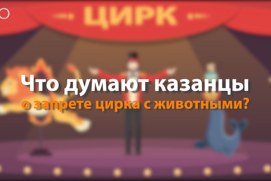 Что думают казанцы о запрете цирка с животными?