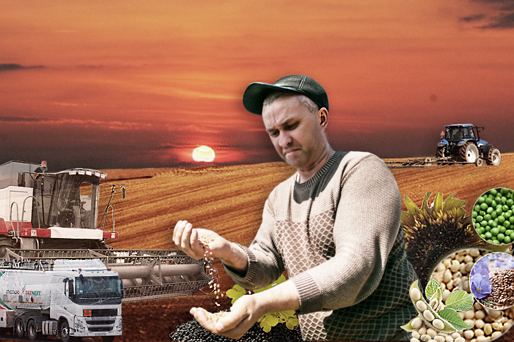 Аграрный цугцванг: 10 бед аграриев Татарстана на старте посевной