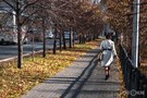 В гидрометцентре назвали причину аномальной осени