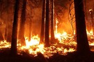 Климатолог заявил об угрозе аномальной жары в России