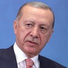 Bloomberg: Эрдоган представит мирный план по Украине на саммите G20