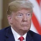СМИ: Трамп официально запустит свою избирательную кампанию 8 ноября