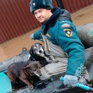 В Курганской области из-за паводка эвакуированы 4,3 тысячи человек