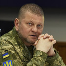 Подполковник Шкурлатов оценил, может ли Залужный захватить власть на Украине 