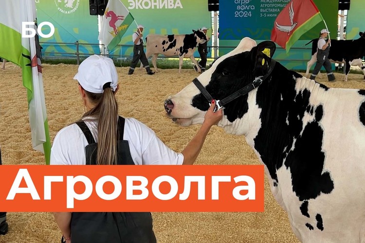 Чем удивила выставка «Агроволга-2024» в Казани?