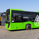 На День города в Альметьевске проезд в общественном транспорте будет бесплатным