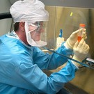 В Европе выявили новую разновидность COVID-19 