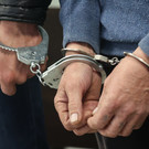 Жителя Казани посадили на 18 лет за производство наркотиков – в его квартире нашли 89 запрещенных растений