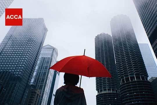 «Квалификация ACCA дает путевку в жизнь»