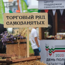 Стало известно, сколько заработали татарстанские самозанятые при специальном налоговом режиме