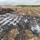 В Татарстане после прорыва нефтепровода «Башнефть-Добычи» обнаружили загрязнение почвы на землях сельхозназначения