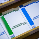 Рособрнадзор проверит мигрантов с сертификатами на знание русского языка