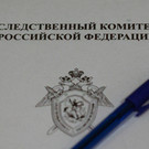 Руководителя татарстанской фирмы заподозрили в неуплате налогов на 26 миллионов рублей