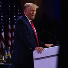 Трамп пообещал Нурмагомедову остановить украинский конфликт в случае победы на выборах