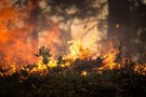 Депутат Госдумы нашел причину аномальных ливней и пожаров: Запад испытывает климатическое оружие
