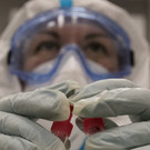 Pfizer объявил о лекарстве от COVID-19 – акции авиакомпаний и производителей чемоданов взлетели